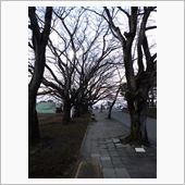 研修実習終了