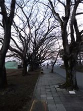 研修実習終了