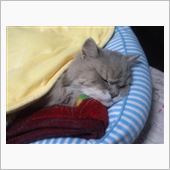 これだけは～ねぇ。＞＜