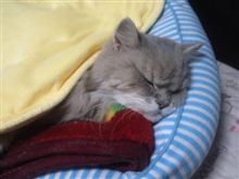 これだけは～ねぇ。＞＜