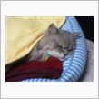 これだけは～ねぇ。＞＜