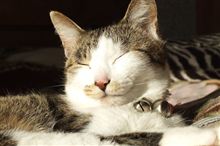明日は休みだ、温泉だ～。