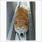 おはようございMas★