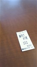 輪厚SAで