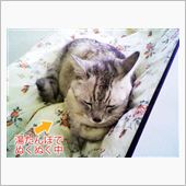 予防が肝心