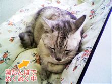予防が肝心