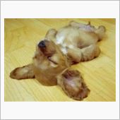 枕を涙で濡らしてました…