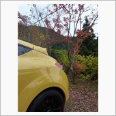 紅葉 と おしり