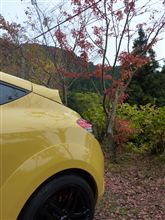 紅葉 と おしり