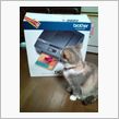 プレゼント