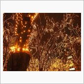 『2012　SENDAI 光 ...