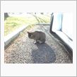バイク話しに花が咲き｡｡(*^o^*)