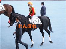 ２年連続やりますた～