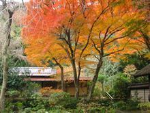 鎌倉 瑞泉寺の紅葉 鎌倉 瑞泉寺の紅葉