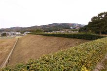 奈良・古墳巡り