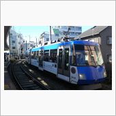 せたがやボロ市