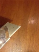 iPhone4S ソフトフォーカス