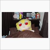 寝て曜日