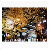 今日の新宿