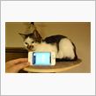 今更ながらiOS6へ
