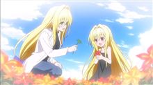 今日のアニメ