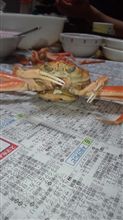 カニハイカガカニ。