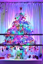 わが家のクリスマスツリー2012