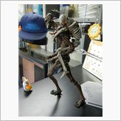 運を使ってしまったのか・・・