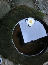 沈黙の艦隊 観て思うこと。(古っ!) 沈黙の艦隊 観て思うこと。(古っ!)