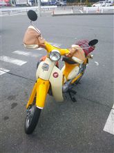 早めに出てノンビリ~d(⌒ー⌒) 早めに出てノンビリ~d(⌒ー⌒)