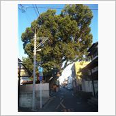 路地を行くと････