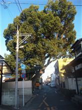 路地を行くと････