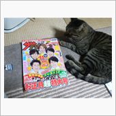 年末年始の特番目白押しでＨＤ ...