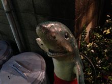 せとカラ忘年会とハイドラCP稼ぎ せとカラ忘年会とハイドラCP稼ぎ