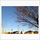 体のあちこちが痛い(&gt;_&amp;l ...