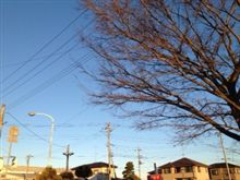 体のあちこちが痛い(&gt;_&lt;)〜おはです！