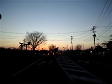 今日の･･･