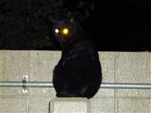 あくサンタ！