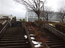 熱帯植物園に行ってきた♪