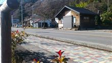 ブラインドの先には…