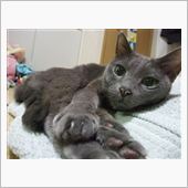 週末は稲敷へ
