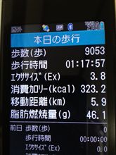 夕方、海田の両親のところへ行き、夜は恒例の早歩き