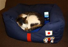 イーモバイル解約手続き完了