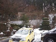 うっすらと雪化粧♪