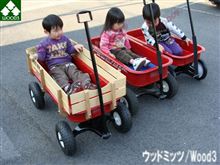 大人のおもちゃ！　奥様説得して・・・