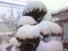 雪かぁ