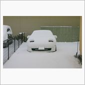 今日も積もったねぇ