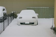 今日も積もったねぇ