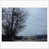 コンディション・・・・・