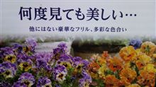 冬 冬